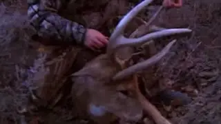 Hunting Monster Whitetails in Kansas