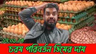 17/01/25; বর্তমান বাজারে ডিমের দাম কত | ajker dimer bazar। দেশি মুরগির ডিম ও বয়লার মুরগির ডিমের দাম