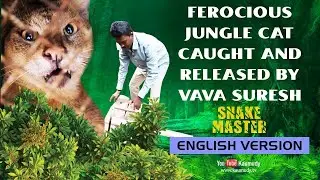 Wow! Ferocious Jungle cat caught and released by Vava Suresh | Snakemaster - English | EP 05