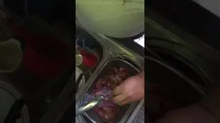No freezer burn prawns