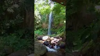 Part 1: Waterfall, &Aacute;gua d'Alto/Aguagem, Santana | Cascata