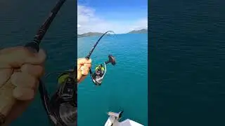 Best, sound  👌🏻   #fishing #bigfish #boating #explorepage #jigging #vibing