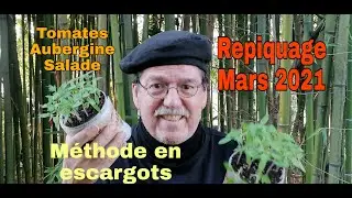 Suivi des #semis #mars 2021et repiquage #aubergines🍆 #tomates 🍅.
