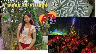 Village vlog during Christmas Break || visiting village for a week|| #youtube #christmas #viralvideo