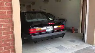 1986 Saleen- fresh beautiful new paint job