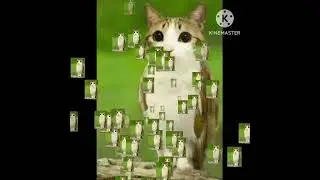 meowl edit #meowl #owl #owlcat #catowl #cat #edit #meowlthing