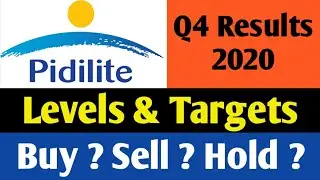 Pidilite Industries | Q4 Results 2020 | Profit Falls 😱 | What to do ?