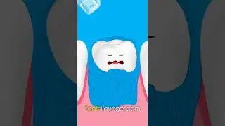 The Future of Dentistry: Cutting-Edge Innovations and Virtual Reality Procedures - What Does It