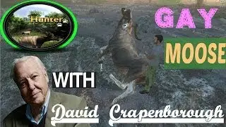 GAY MOOSE - DAVID ATTENBOROUGH COMMENTARY -  The Hunter 2014