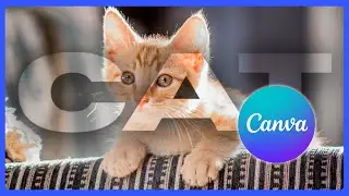 Как создать полупрозрачный текст в Canva (простой эффект наложения)