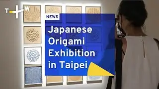 Japanese Origami Exhibition in Taipei | TaiwanPlus News