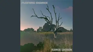 Fleeting Chance