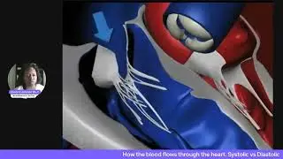 Let s Talk About Blood Pressure Medications