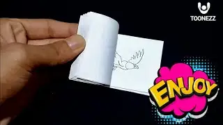 Eagle fly flipbook | Flipbook animation | TOONEZZ