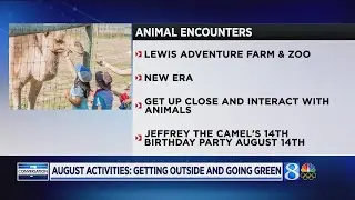 August activities: Getting outside and going green