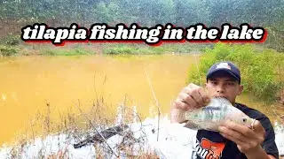 Lake tilapia fishing 