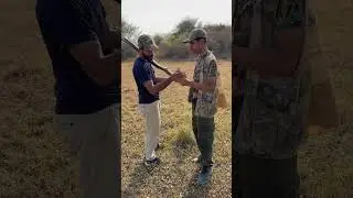 Black female Partridges hunt #viralvideo #partridgehunt #viralshort #for you#beautiful #viralshort