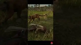 Survival in jungle #shorts #rdr2