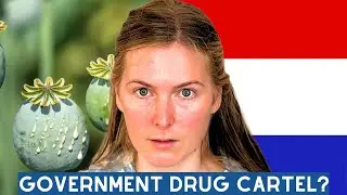 The Dutch Government Ran a Drug Cartel