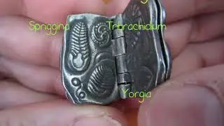 Ediacaran Biota Keychain with labels
