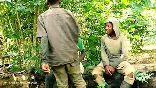 Forédanje episond 1 tannrés la babay 🤭