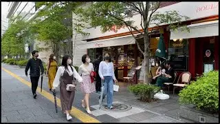Tokyo Walk  24/7