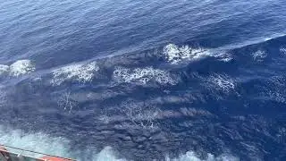 Carnival Horizon Cruise ship passing through  Bermuda Triangle - South Atlantic Ocean