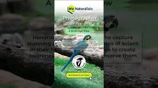 Photographer of the Year - Birds WeNaturalists Awards&nbsp;2023
