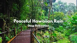 Peaceful Rain Sounds on Hawaiian Garden Boardwalk | 3 Hours of Nature Ambience