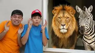 Hewan Liar di Rumah Jason! 🦁 Belajar Nama Hewan & Fakta Seru untuk Anak