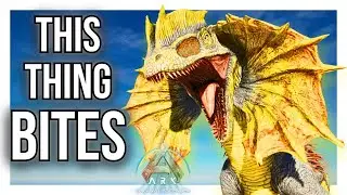 Beginner's Dilo Taming Everything Explained for New Players