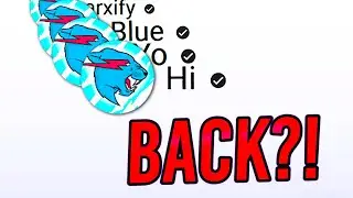 Where Are The Verified MrBeast Comment Bots NOW? (revealed!)