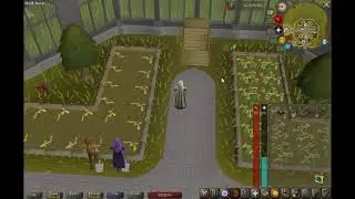 OSRS How to harvest crops and put them in the compost bin at the SAME TIME! (Probably a bug)