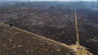 Il Brasile teme che l'accordo UE-Mercosur venga messo in cantina