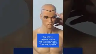 Elevate Cognitive Function