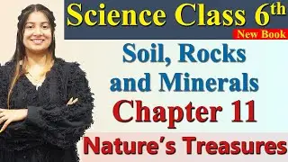 Soil, Rocks and Minerals, Chapter 11 Nature&rsquo;s Treasures Science Curiosity Class 6 CBSE NCERT