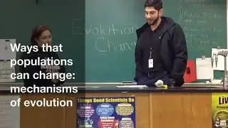 Evolutionary Mechanisms