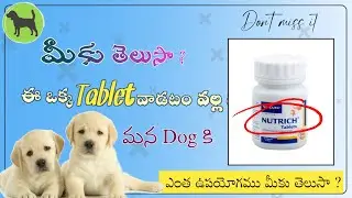 nutrich tablet for dogs benefits in Telugu || dog growth supplements || RottweilerTrainingTelugu ||