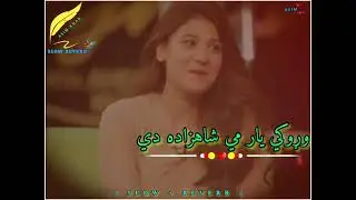 Waroky Yar Me Shazada Dy | Pashto Mast Tapy | [ Slow + Reverb ]