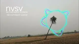 Raven & Kreyn (NCSV )no copyright sounds Vedio 