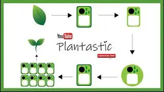 Plant Tissue Culture - Protoplast Culture