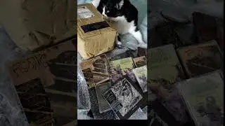 Domino 😼 re&ccedil;oit sa commande Death Metal 🔥📦 #Unboxing &lrm;⁨@TranscendingObscurity⁩&nbsp;