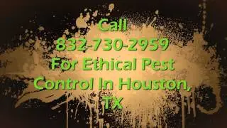 Best Houston Pest Control - 832-730-2959