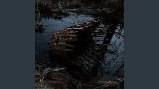 Grim