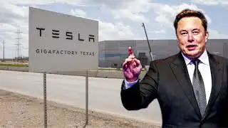 Elon Musk on X, Truth, and Building Systems That Actually Last