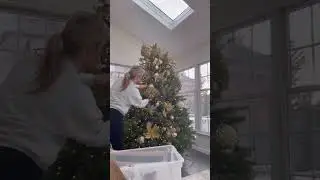 I used my dried hydrangeas on the tree! I sprayed them with gold spray paint and stuck them right