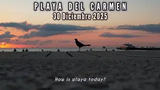 PLAYA DEL CARMEN 30 Diciembre 2025 AMANECER /How is playa today? Cancun Quintanaroo 