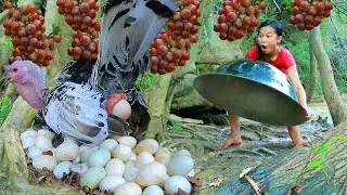 survival in the rainforest - Catch Turkey Bird and Turtle at river - Cooking Turkey Bird egg for dog