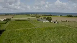 Warming world sparks Sweden&rsquo;s wine revolution