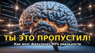 Как работает внимание
